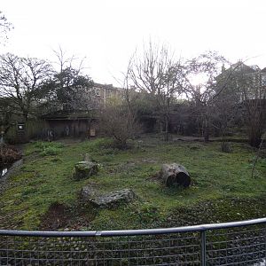Patagonian mara enclosure