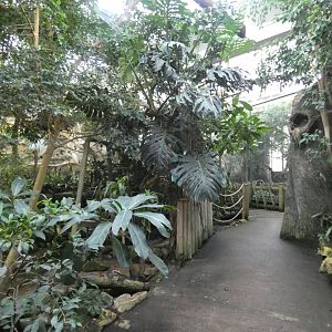 View inside bird house