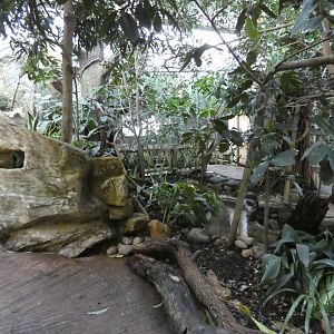 View inside bird house (2)