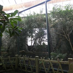 Visayan tarictic hornbill aviary (Bird house)