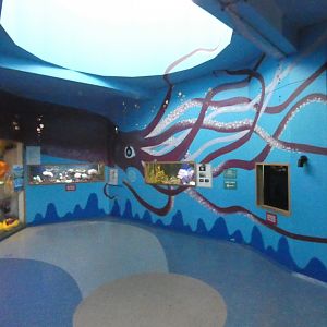 Marine area (Bug World)