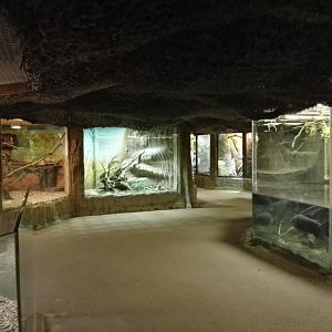 Tropical house - general view