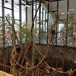 Vilnius Zoopark - indoor walkthrough exhibit