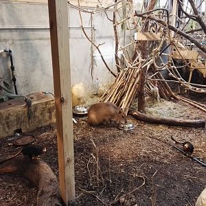 Vilnius Zoopark - indoor walkthrough exhibit