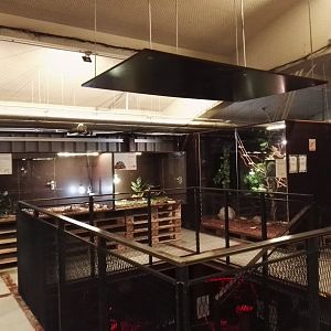 Vilnius Zoopark - terrariums section with nocturnal section downstairs