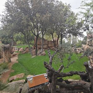 Spotted Hyena exhibit