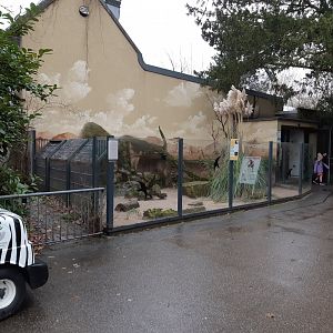 Banded Mongoose outdoor exhibit (former Fennec exhibit)