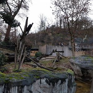 Coati exhibit with Lynx exhibit in the background