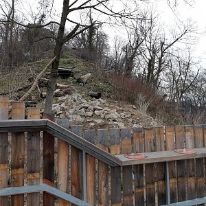 Carpathian Lynx exhibit (opened in 2021)