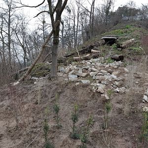 Carpathian Lynx exhibit (opened in 2021)