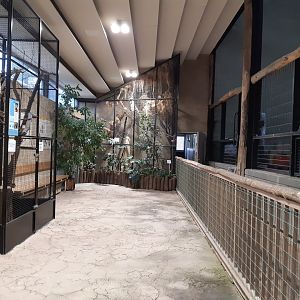 View inside the Giraffe house