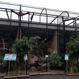 Aviaries in front of the monkey house