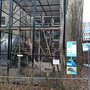 Hyacinth Macaw aviary (with direct access to the zoo director's office)