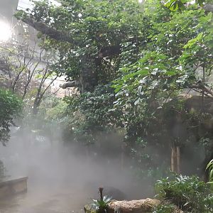 Exotenhaus - general view