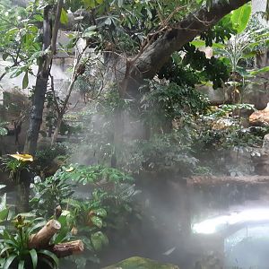 Exotenhaus - general view