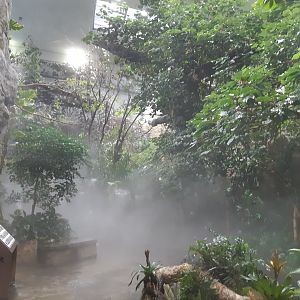 Exotenhaus - general view