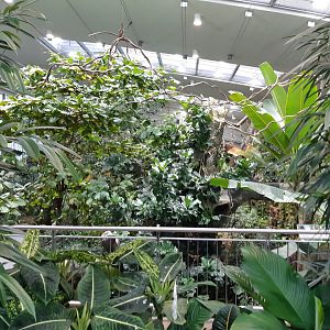 Exotenhaus - view from the gallery