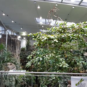 Exotenhaus - view from the gallery