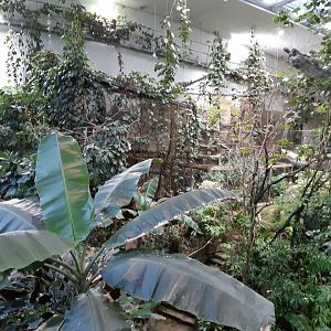 Exotenhaus - view from the gallery