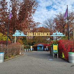 Bronx - Southern Blvd parking lot entrance