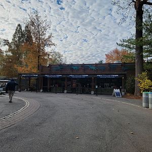 Bronx - Dancing Crane Cafe ordering windows