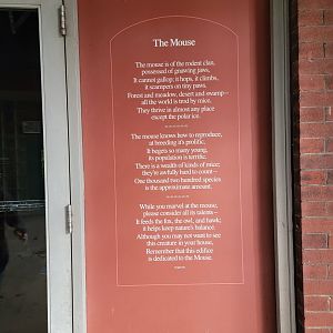 Bronx - Mouse House - Sign outside entrance