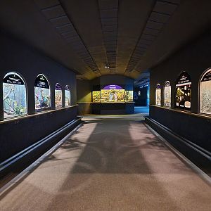 Bronx - Mouse House - View inside entrance