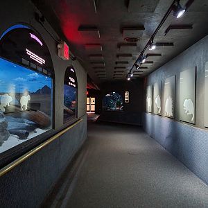 Bronx - Mouse House - Start of nocturnal exhibits