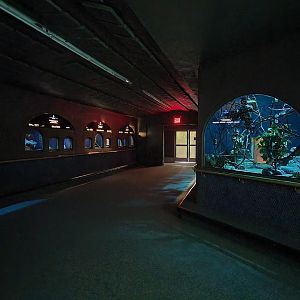 Bronx - Mouse House - Nocturnal exhibits