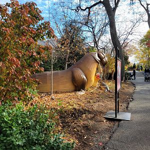 Bronx - Elephant Seal holiday lights