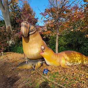 Bronx - Elephant Seal holiday lights