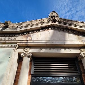 Bronx - Reptile House