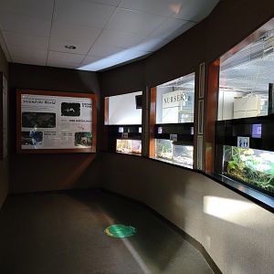 Bronx - Reptile House nursery