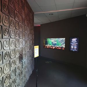 Bronx - RH - Entrance, hellbender exhibit