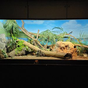 Bronx - RH - Gray's Monitor