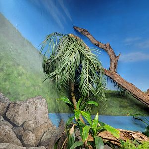 Bronx - RH - Gray's Monitor