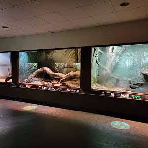 Bronx - RH - Giant snakes