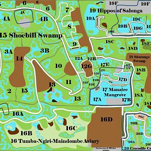 Expedition Congo - Wetlands