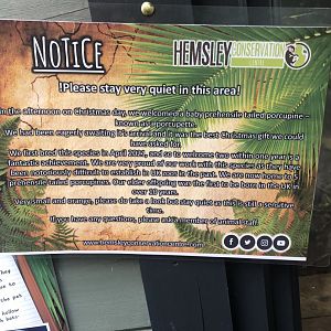 Signage regarding Brazilian Porcupine birth 03/01/22