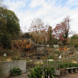 South American Pampas