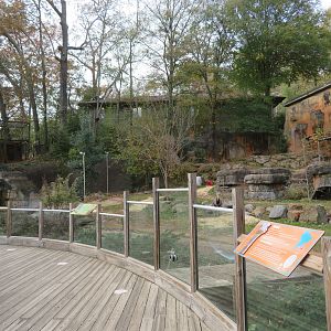 South American Pampas