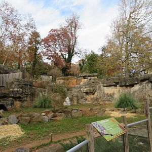 South American Pampas