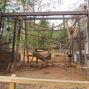 Primate Exhibit
