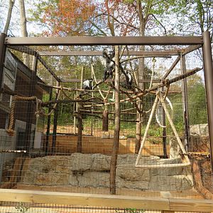 Primate Exhibit