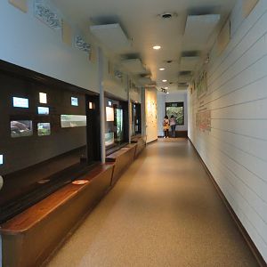 Ektopia (Herp House)