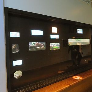 Ektopia (Herp House)