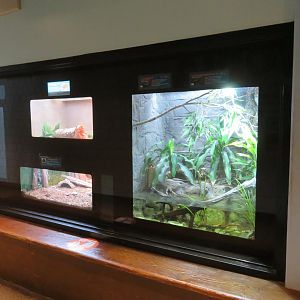 Ektopia (Herp House)