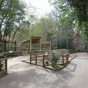 South American Cages