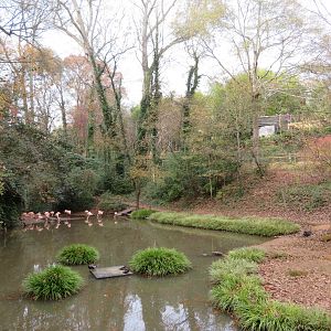 Flamingo Pond
