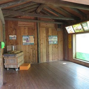 Alligator/Snapping Turtle Viewing Shelter